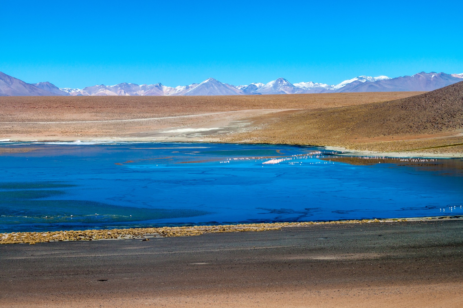 ¿Qué es el altiplano boliviano y por qué es una experiencia única para ...